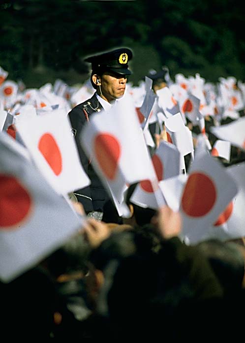 palace-police-flags