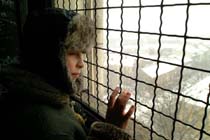 petya-window