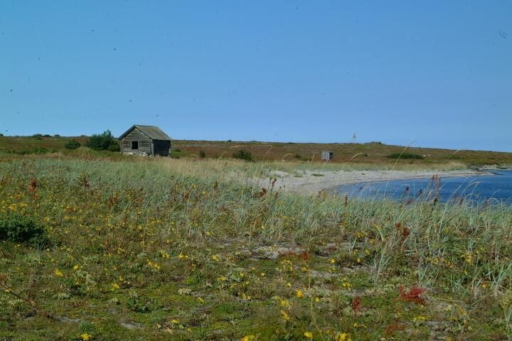 DSCF0645