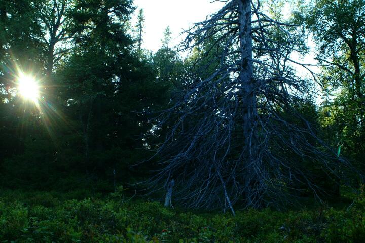 DSCF0648