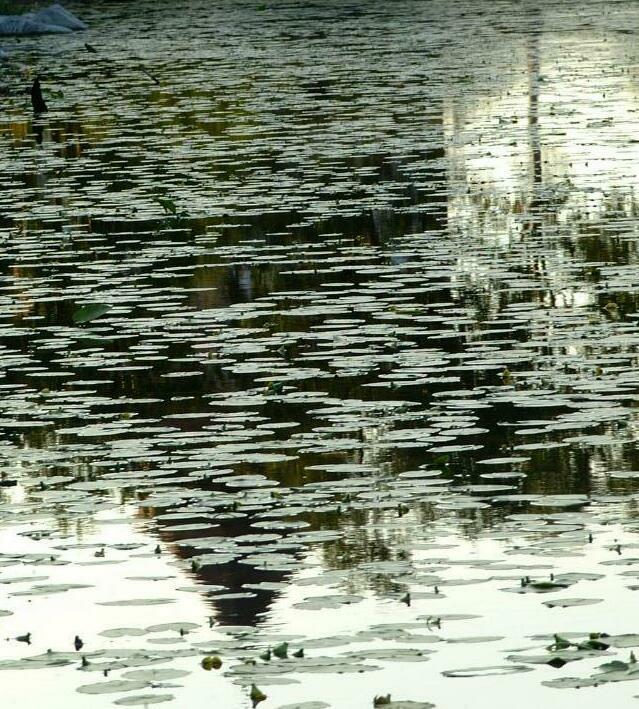 DSCF0653
